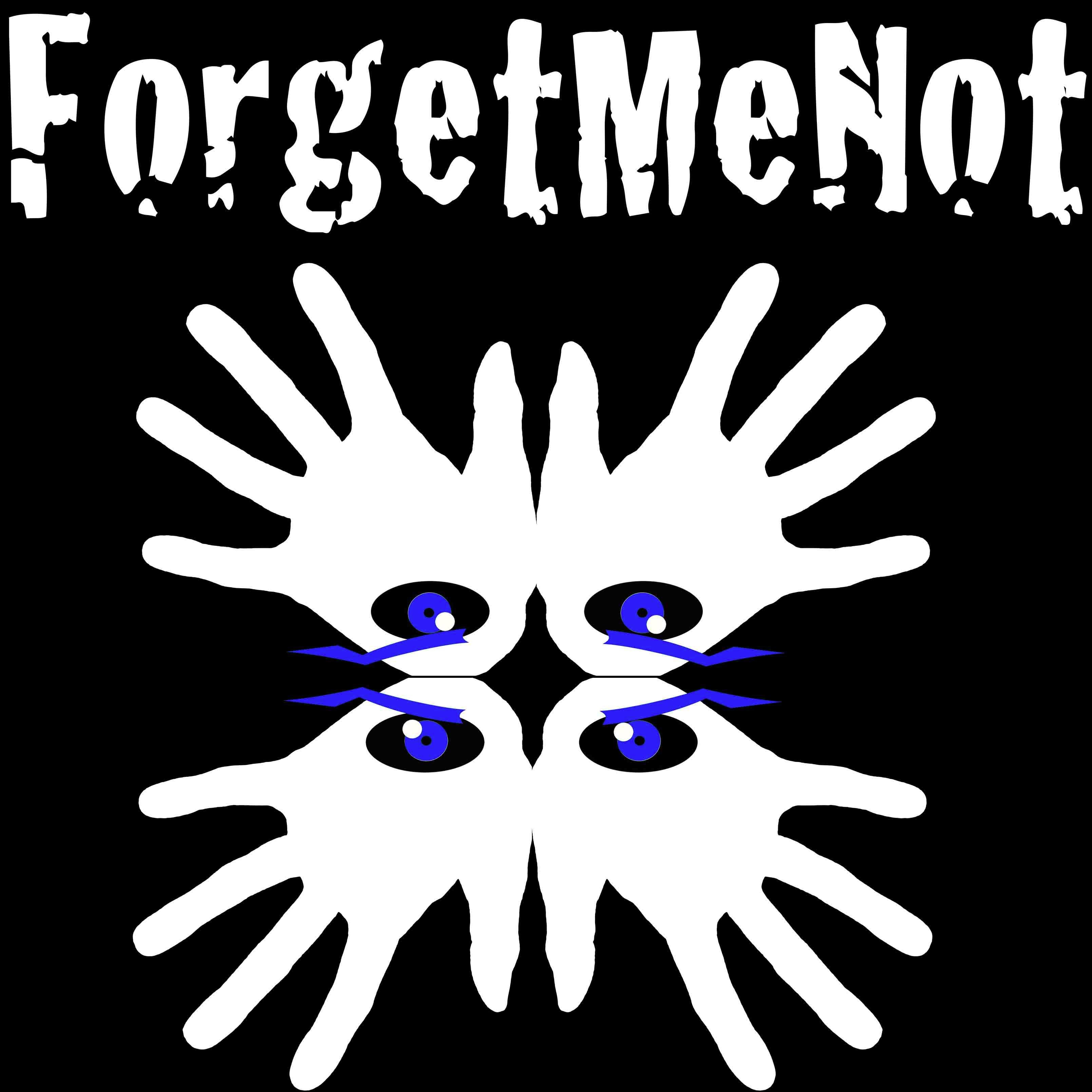 ForgetMeNot est un groupe de pop-rock-prog breton aux influences celtiques et anglo-saxonnes - songwritting : Heather Marronneau/Pat Orla