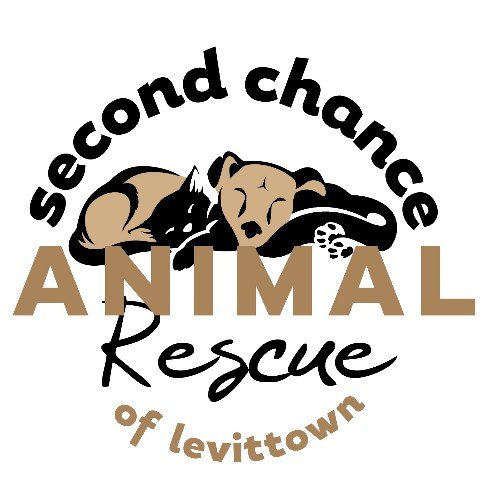 We (SCAR) is a nonprofit 501(c)3 whose mission is to rescue abandoned and abused animals and find them loving homes. Also follow us on Instagram and Facebook!