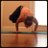 courtneyfalite's profile image
