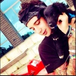 *RT LINK PLEASE* Janoskians are my life ❤luke brooks❤ being a average fan girl