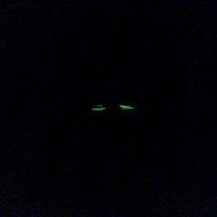 VAmagwula's profile picture. 