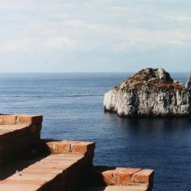 Archipedia_2050's profile picture. 