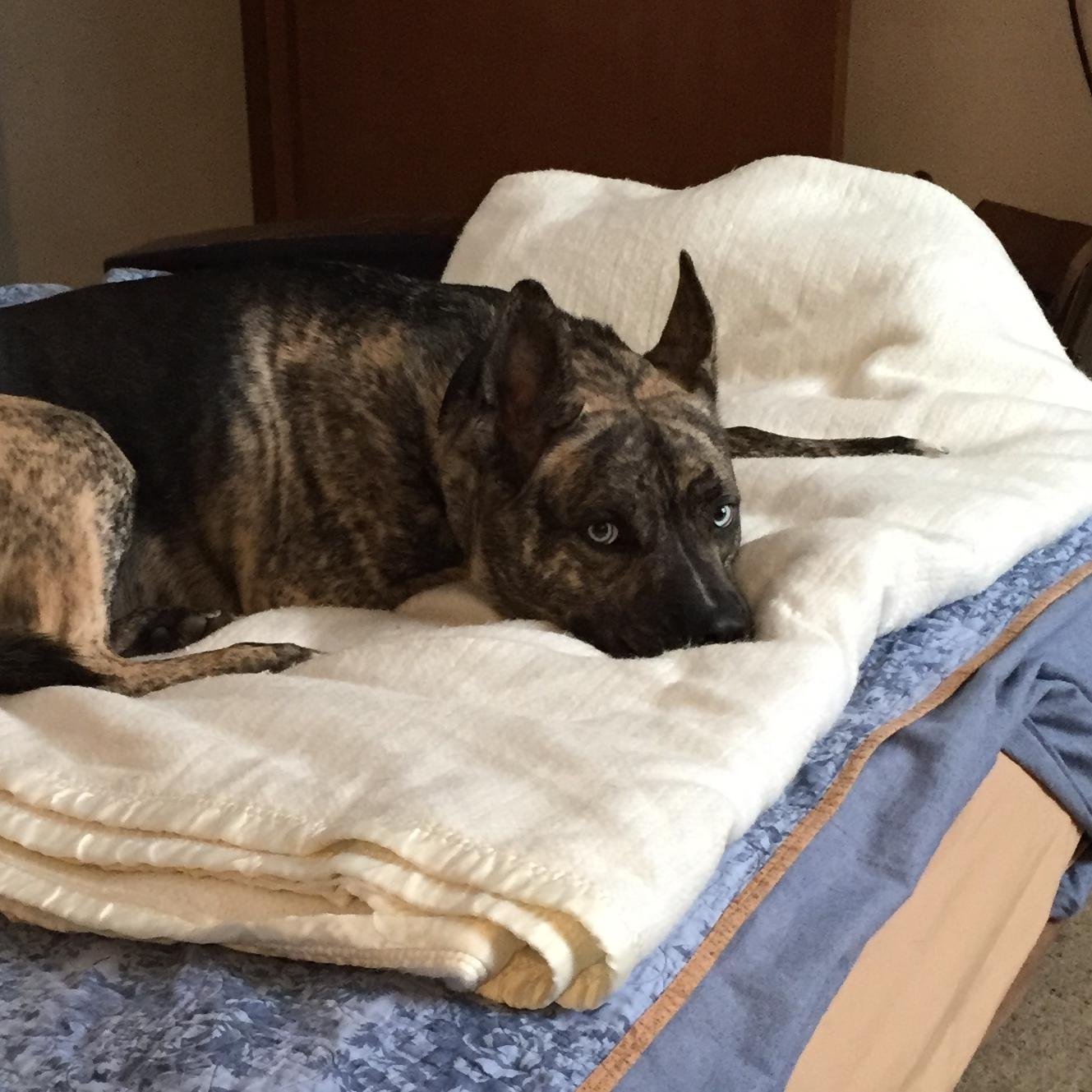 lgpav1's profile picture. Retired from OSU