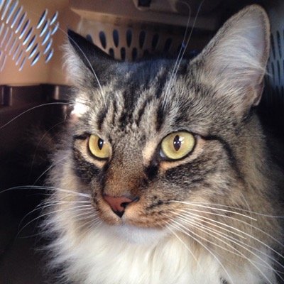 WManning7's profile picture. 