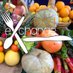 the food eXchange (@exchangefood) Twitter profile photo