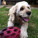 Vicki Renner - @vixploring - Twitter