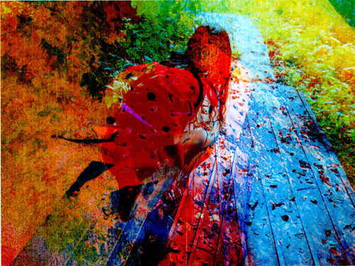 ANNACEEH's profile picture. Visual and photographic artist, activist, initiator and organizer of media and sound festivals in Austria & CEE-Countries, electronic music label operator.