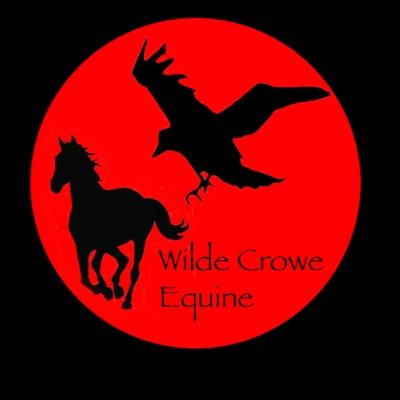 Welcome to Wilde Crowe Equine Accessories | Currently Selling Bridle Charms to Help Pay for College | Bixby Equine™ | Email: WCE.accessories@gmail.com
