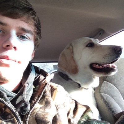 TDreifurst's profile picture. 