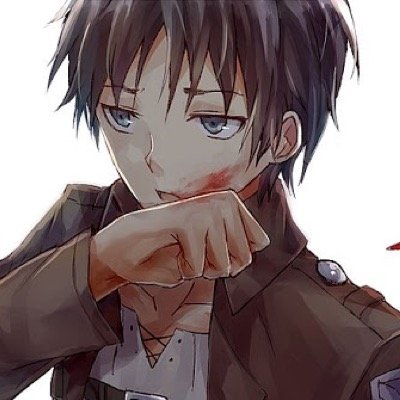 'I don't have time to worry if it's right or wrong, you can't hope for a horror story with a happy ending!' #SnKRP #AoT #AttackOnTitan #LiterateRP