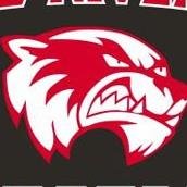 RRVBadgers's profile picture. 