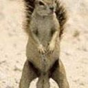 Aaron Arredondo - @swagpapi999 - Twitter