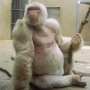 Lloyd E Walker - @lloyd_walker - Twitter