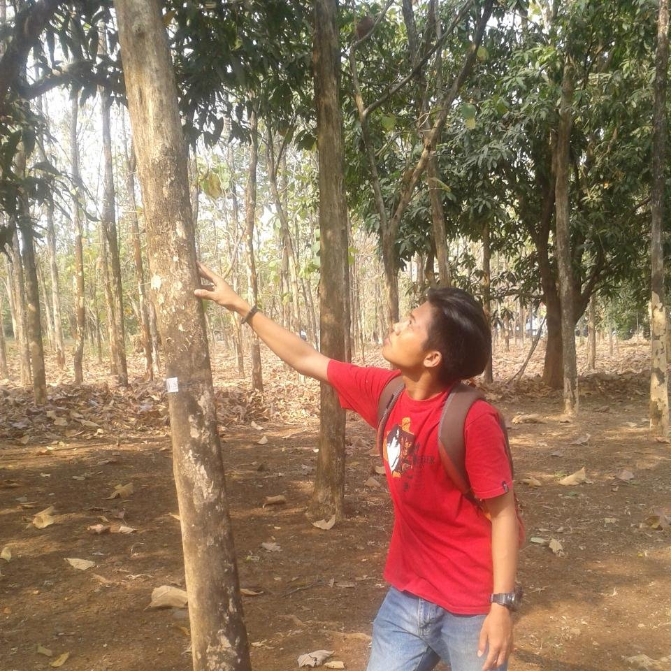 forestry faculty of hasanuddin university