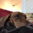 Stacey Ericson - @staceybsericson - Twitter