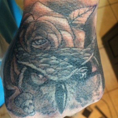 Gavin3Tattoo's profile picture. I'm an artist making my way in the tattoo world. I sculpt and oil paint as well. I'm married to my best friend and we have 3 awesome boys, 2 dogs, 1 cat. ✌️❤️