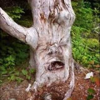 Hello. I bring you funny and trendy news everyday. If you like them, please visit also my website. Thank you!