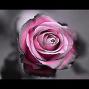 Sandra Rinehart - @sandraadam41 - Twitter