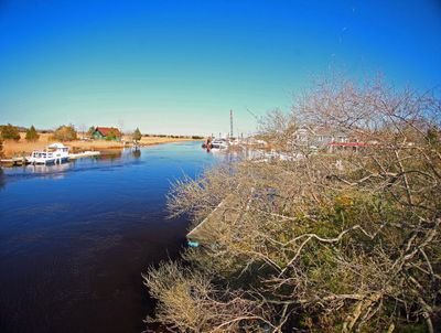 DonAddison2's profile picture. President Photos by Don &Community Business Representative By Local