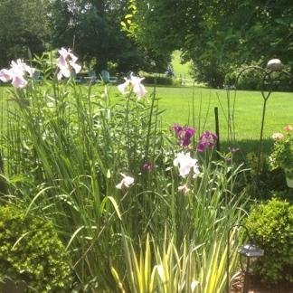 Garden Club