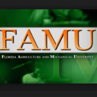 The offical FAMU confession page!! real confessions from real rattlers. (18+) famuconfessionz@gmail.com, DM or anonymously http://t.co/q4dXJFD3Lo