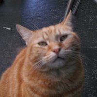 Elaine Ellis (@elaine_ells) 's Twitter Profile Photo Elaine Ellis (@elaine_ells) 's Twitter Profile Photo