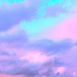 Dalmaa98's profile picture. 