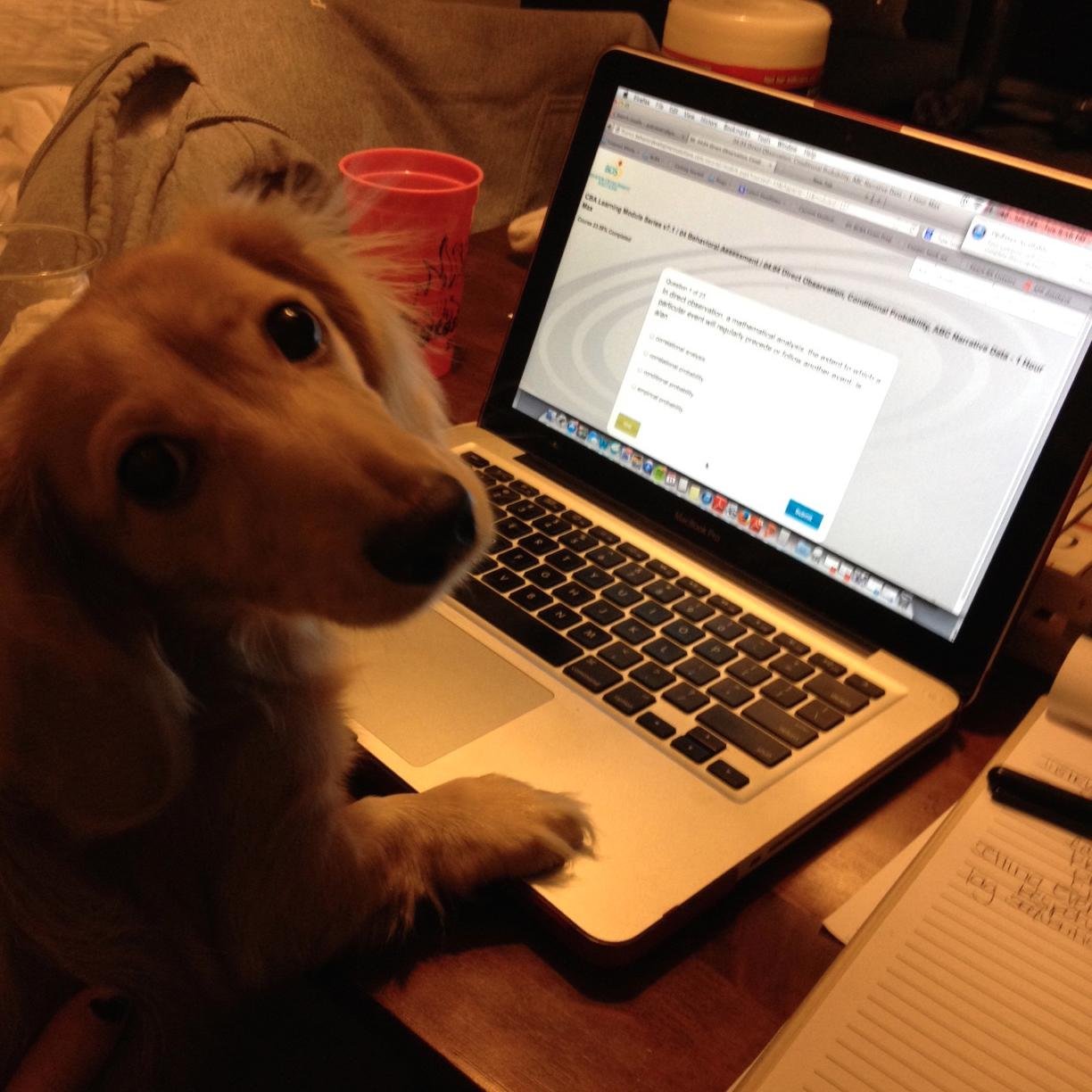 TweetingTrevs's profile picture. Rockin Dox