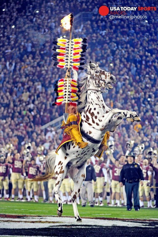 NOLEageddon's profile picture. 