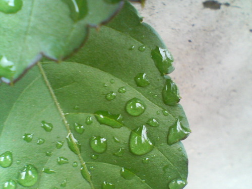 See my blog page...but Japanese only...