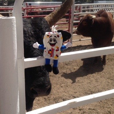 tlmkr74's profile picture. Blue collar/self employed, 42 yrs married and living my dream. With common sense, imagination and integrity a man can do anything. Toss a little humor in too...