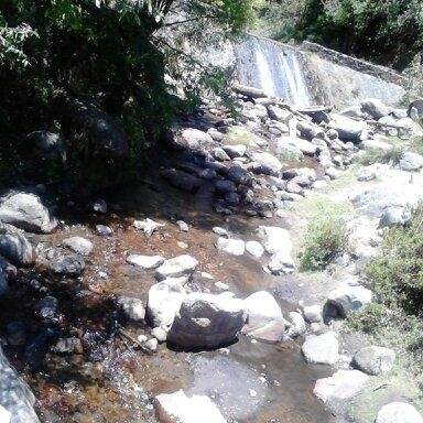 UrielElli's profile picture. 