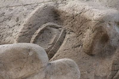 ddaigneault12's profile picture. 