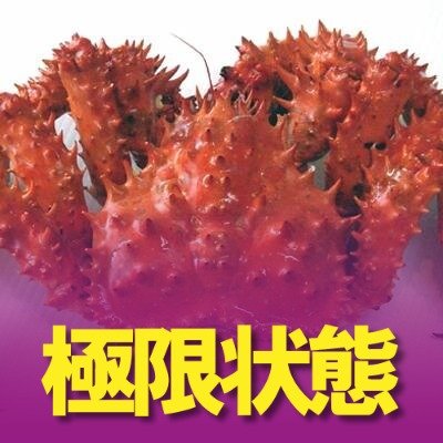 蟹です。それ以上それ以下でもありません蟹です。