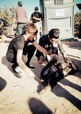 Married to my perfect Zaynie!❤ Hunter's papa!❤