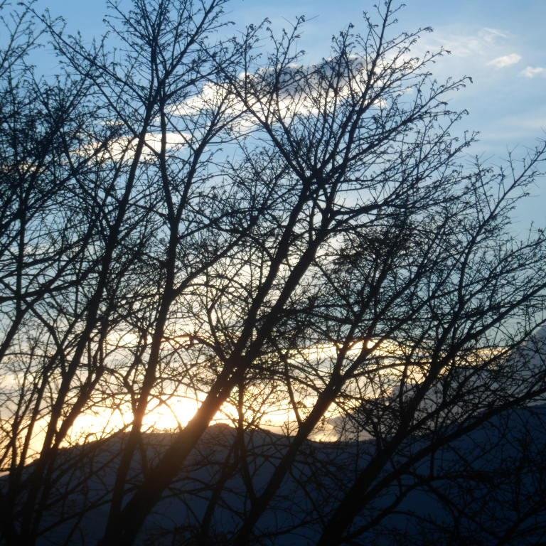 ospin_ospin's profile picture. 