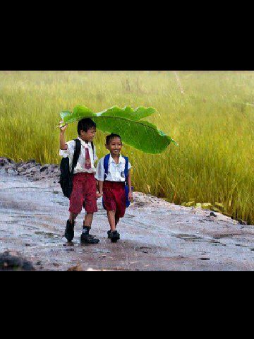 Rachmad_pendi's profile picture. Life is fair and I'am cules  @INDOBARCELONA #viscabarca