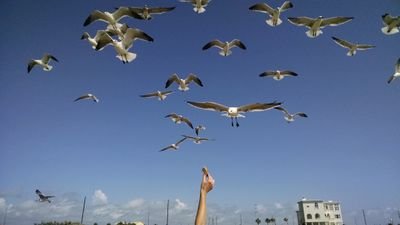 fishenpoet's profile picture. A sparrow in a hurricane, sheltered beneath His Wing