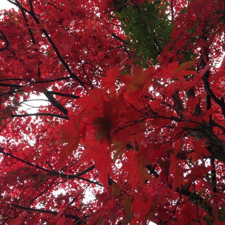 DanielLoacker's profile picture. 