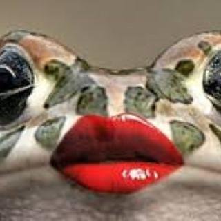 Hello. I bring you funny and trendy news everyday. If you like them, please visit also my website. Thank you!