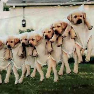 Hello. I bring you funny and trendy news everyday. If you like them, please visit also my website. Thank you!
