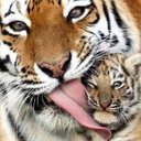 april kenyon - @kenyon_april - Twitter