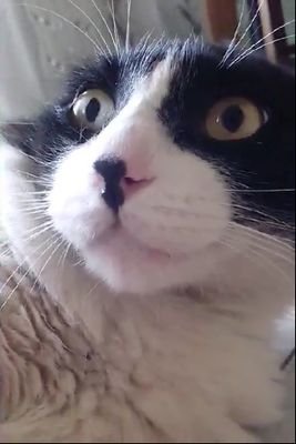 Teemodumau's profile picture. Jogo LOL