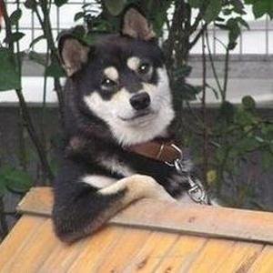 FEgglestone's profile picture. Hey there, I bring you funniet news everyday! Please check out my website for more. Thank you!