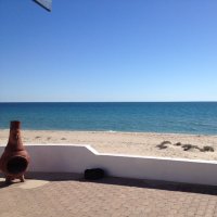 Curt Bruns (@curtbruns) 's Twitter Profile