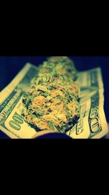 Stoner 420 #716 #WeedSquad