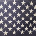 T. Patrick McGrane - @American__Party - Twitter