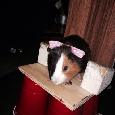 ItsMiloBetch's profile picture. Fuck Devon