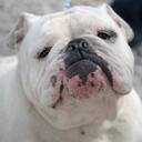 StaciRoberts - @StaciRoberts - Twitter