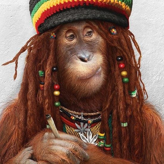 veteran40's profile picture. Все свое ношу с собой... =\) #ФолЛов